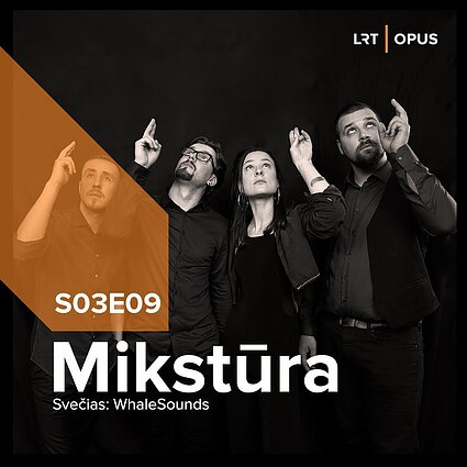 Mikstūra. Skambantys gaisrai WhaleSounds ausimis