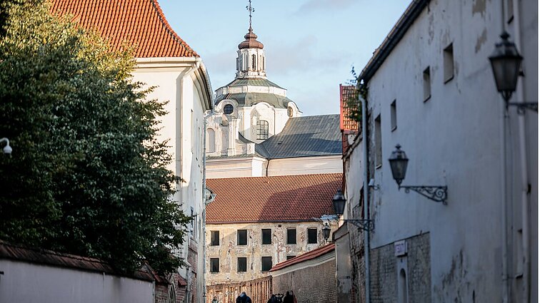 Gėdos stulpai ir piktnaudžiavimas raganos statusu: kaip atrodė Vilniaus moterų gyvenimas viduramžiais?
