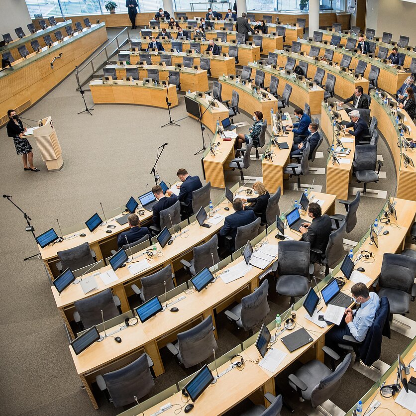J. Stacevičiaus / LRT nuotr., Seimas