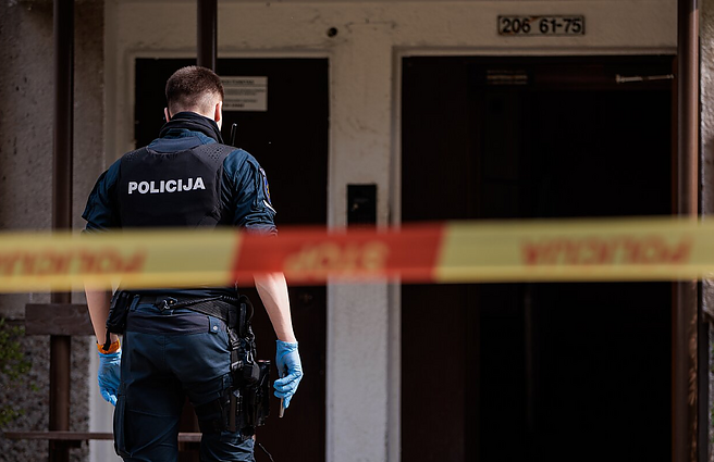 Į Rusiją išgabento vaiko istorija primena dvigubos pilietybės klausimą: ar tai galėtų tapti artėjančių rinkimų leitmotyvu?