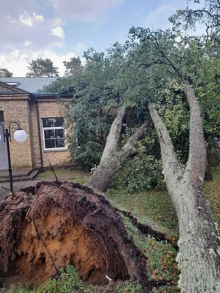 Storm damage in Ignalina