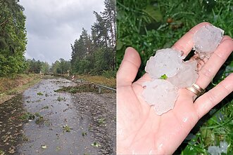 Hail and wind damage