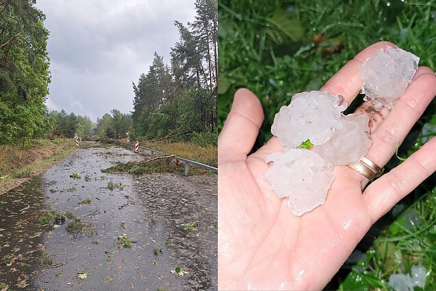 Hail and wind damage