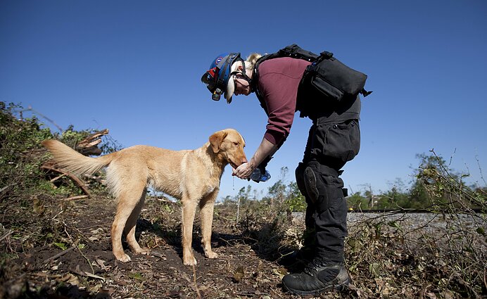 Vokietijoje archeologai kasinėjimams pasitelkė šunis: keturkojų užduotis patikslinti, ar numatomose teritorijose gali būti palaikų