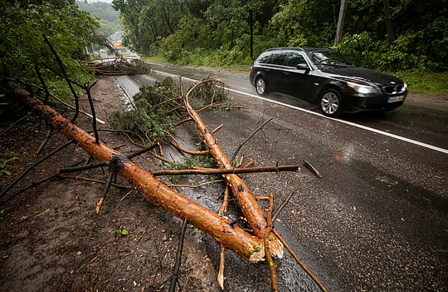 Žinios. Po trečiadienio audros pareigūnai sulaukė daugiau nei 100 iškvietimų dėl nuvirtusių medžių