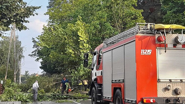 Žinios. „Nė vieno sveiko stogo nelikę“: po siautėjusios audros elektros neturi 8,7 tūkst. gyventojų