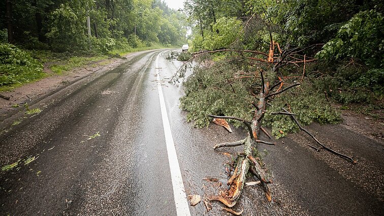 Audros padariniai Utenos rajone: dalis gyventojų liko be elektros, kai kur keliai užversti lūžusiais medžiais