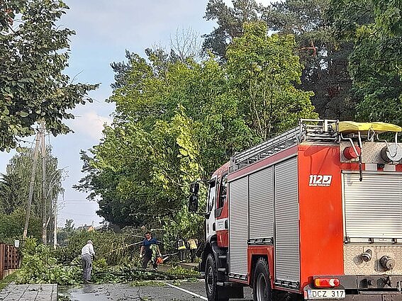 Po praūžusių audrų – milijoniniai nuostoliai draudikams: išmokėta ar rezervuota 9 mln. eurų