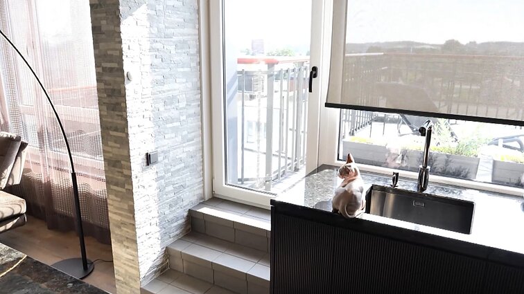 Būstas Klaipėdoje su akiai neįprasta panorama: koloritą lėmė dvi katės, o užuolaidų pasirinkimą – uosto vaizdai