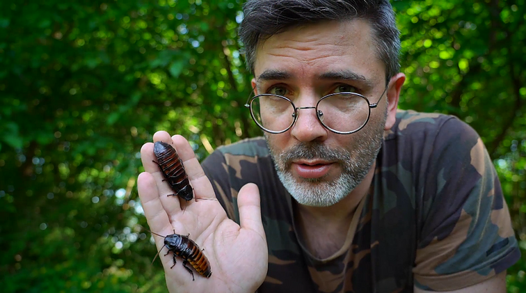 Gamtininko užrašai. Tarakonų baimės nesuprantantis Čepulis: jei negyventume kaip kiaulės, pas mus jie neužsuktų