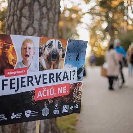 Lietuvos diena. Nuspręsta: šiemet „Vilniaus fejerijos” nebus