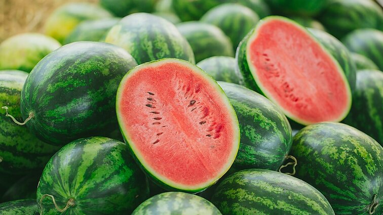 Daugėja arbūzus auginančių ūkininkų: Lietuvos klimatas tampa vis palankesnis šių uogų auginimui