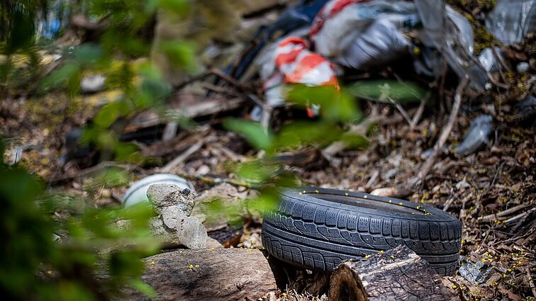 Gyventojai galės patogiai pranešti apie šiukšles gamtoje – pristatytas interaktyvus įrankis