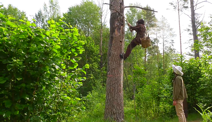 Pradėk nuo savęs. Viskas apie bites ir jų santykį su žmogumi