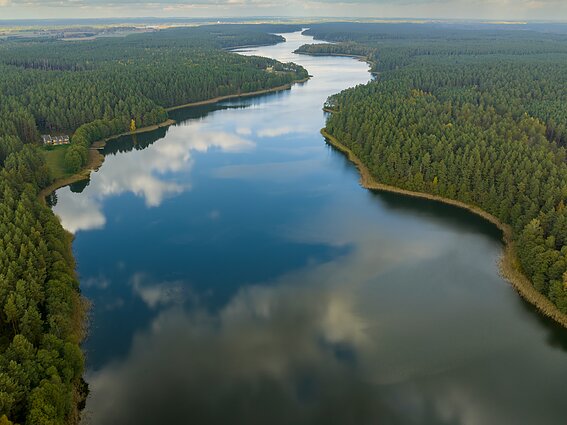 Veisiejų krašte