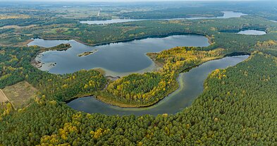 Veisiejų krašte