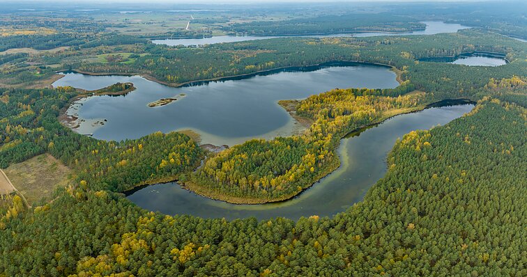 Veisiejų krašte