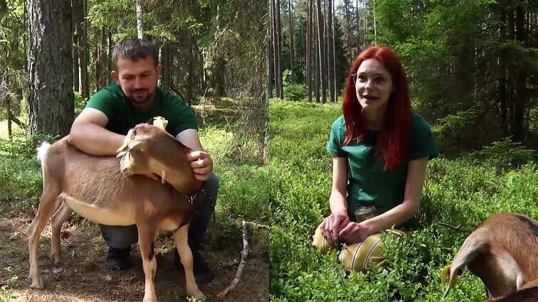 Pasivaikščiojimus miškais su ožkomis inicijavę Greta ir Renaldas: pirkome pienui, gavome augintinius
