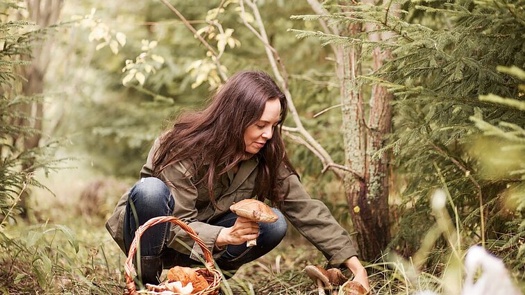 „Džiaugsis tie, kurie išsiilgę grybų“: orų prognozės žada gaivią temperatūra ir kritulius