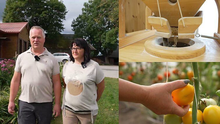 Toliau nuo miesto. Šilalės ūkininkai Ona ir Gediminas Sungailos: norime važiuoti pasimaudyti ir važiuojame – nenumirs tas pomidoras neravėtas