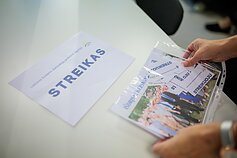 Įspėjamasis mokytojų streikas