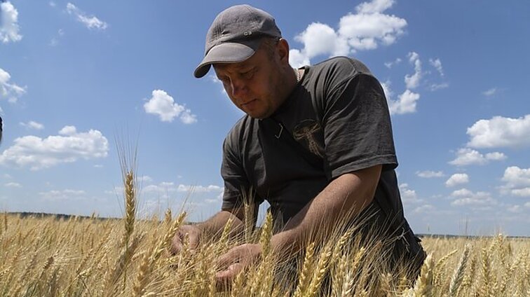 EK nepratęsus ukrainietiškų grūdų importo embargo, kai kurios ES šalys žada draudimą taikyti ir toliau