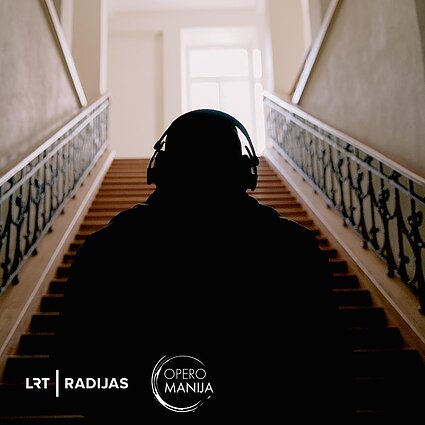 Radijo dokumentika. Bedugnė. Kelionė pas brolį per prarastą Vilnių
