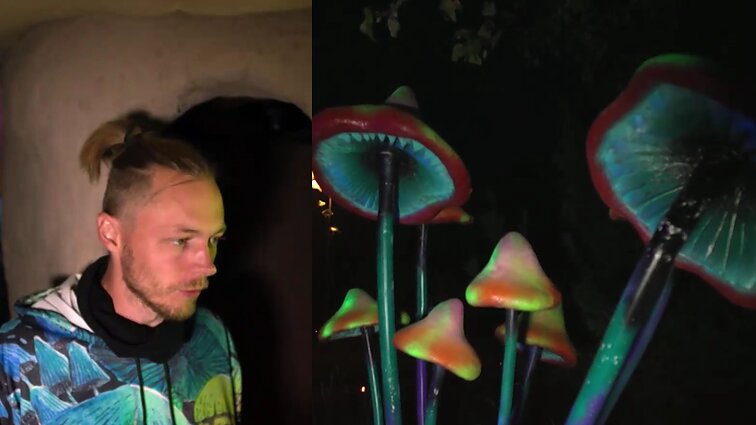 Mistinį milžiniškų „Grybų parką“ įkūręs Saulius: žmogus čia turi jaustis kaip skruzdėlė miške