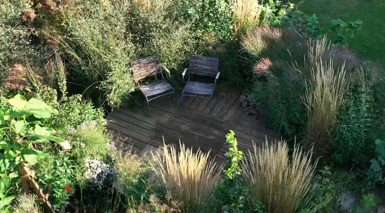 Terasose – jaukumas, augalai ir žaidimai: sodo tinklaraštininkė atskleidė, kaip kurti lauko erdves