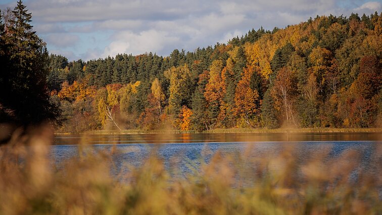 Žinios. Klimatologas ragina galvoti apie prisitaikymą, fiksavus šilčiausią rugsėjį šalyje: tai galima sieti su klimato kaita