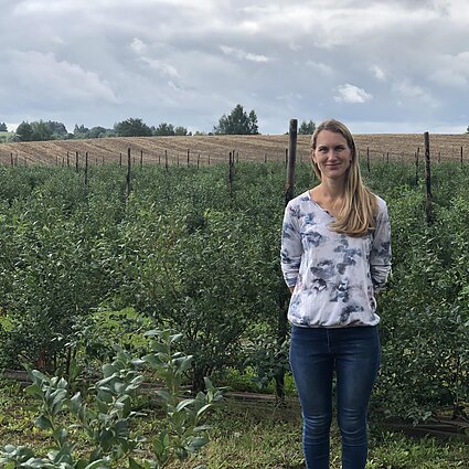Gimtoji žemė. Uogynus verta sodinti tik tiems, kurie turi nuosavos žemės