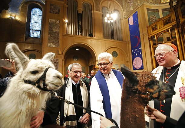 Kartą metuose į bažnyčią palaiminimui įleidžiami ir gyvūnai: tokioje procesijoje Niujorke žygiavo kupranugaris, aligatorius ir net smauglys