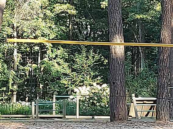 Park Karolisa Dineiki w Druskienikach 
