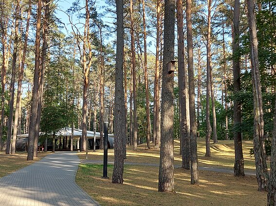 Park Karolisa Dineiki w Druskienikach 