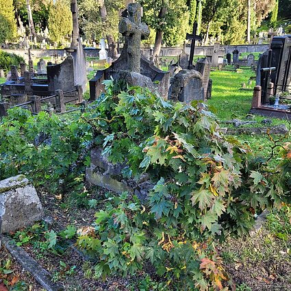 Santara. Audycja w języku polskim. Duże zniszczenia po burzy na cmentarzach wileńskich