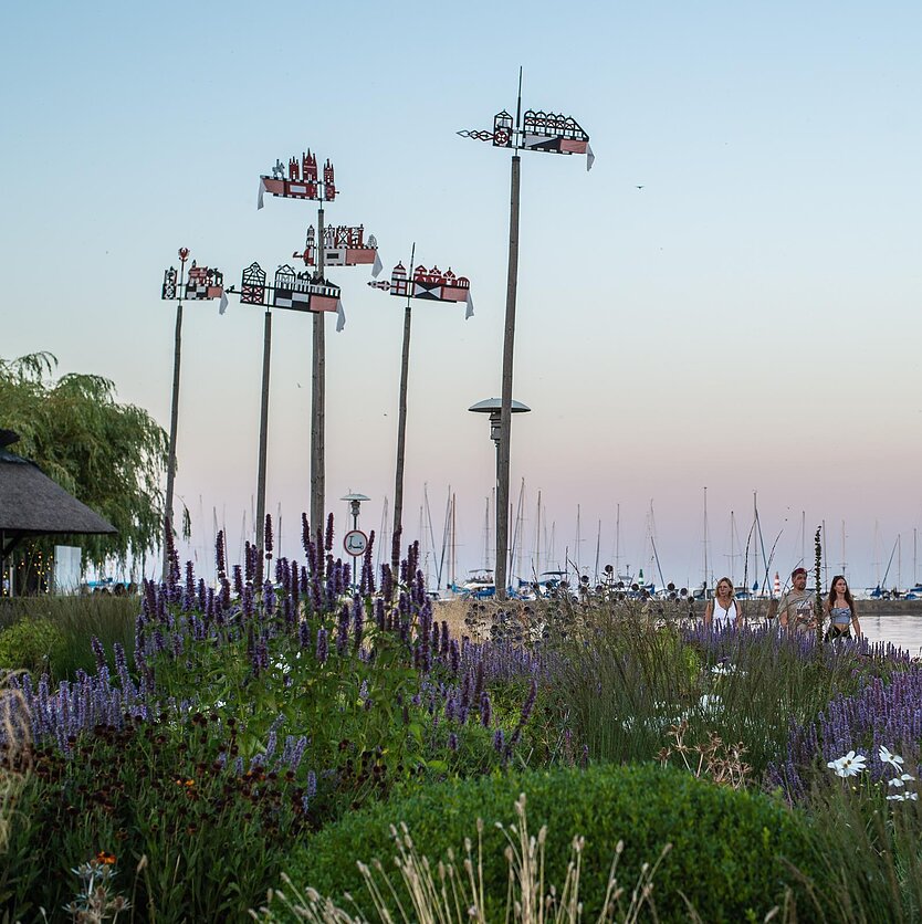 G. Characiejienės nuotr., Žmogus ir miestas. Kaip želdynai ir želdiniai atskleidžia vietovės charakterį? Pokalbis su kraštovaizdžio architekte Goda Characiejiene