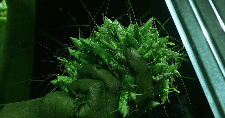 Prasideda 17-asis kino festivalis „Nepatogus kinas“: „kiekvienas žiūrovas ras, kas jam aktualu“