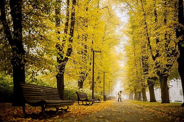 Meteorologė: sniego drėbtelėjęs spalis savaitgalį žada šilumą, bet kitą savaitę – nauja šalčio porcija