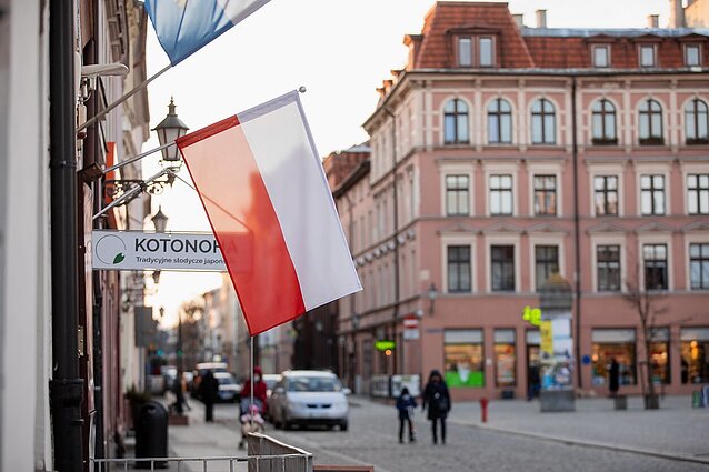 Dienos tema. Profesorius apie Varšuvos politiką: Lenkija prisidarė sau priešų daugiau nei bet kuri kita valstybė