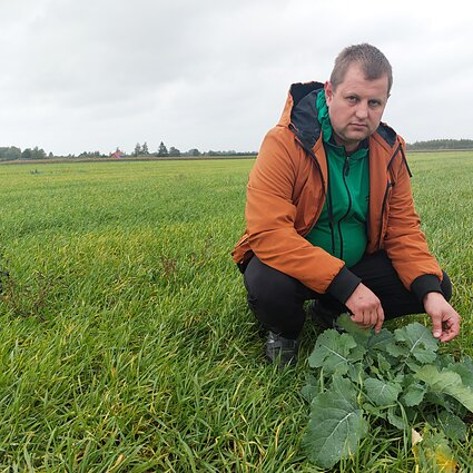 Gimtoji žemė. Kruša „pasėjo“ kviečius 20 kartų didesne norma. Kokios pamokos?