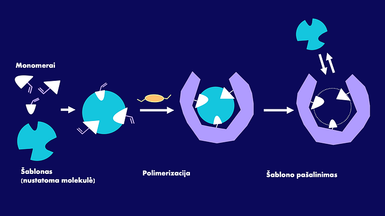 Supaprastinta molekulinio įspaudo technologijos schema Supaprastinta molekulinio įspaudo technologijos schema