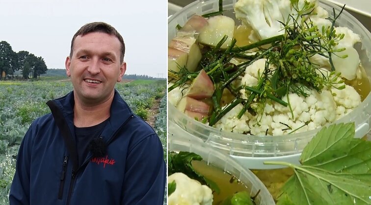 Ūkininkų šeimyna pataria, kaip tinkamai užraugti daržoves: bus traškios ir išsilaikys visą žiemą