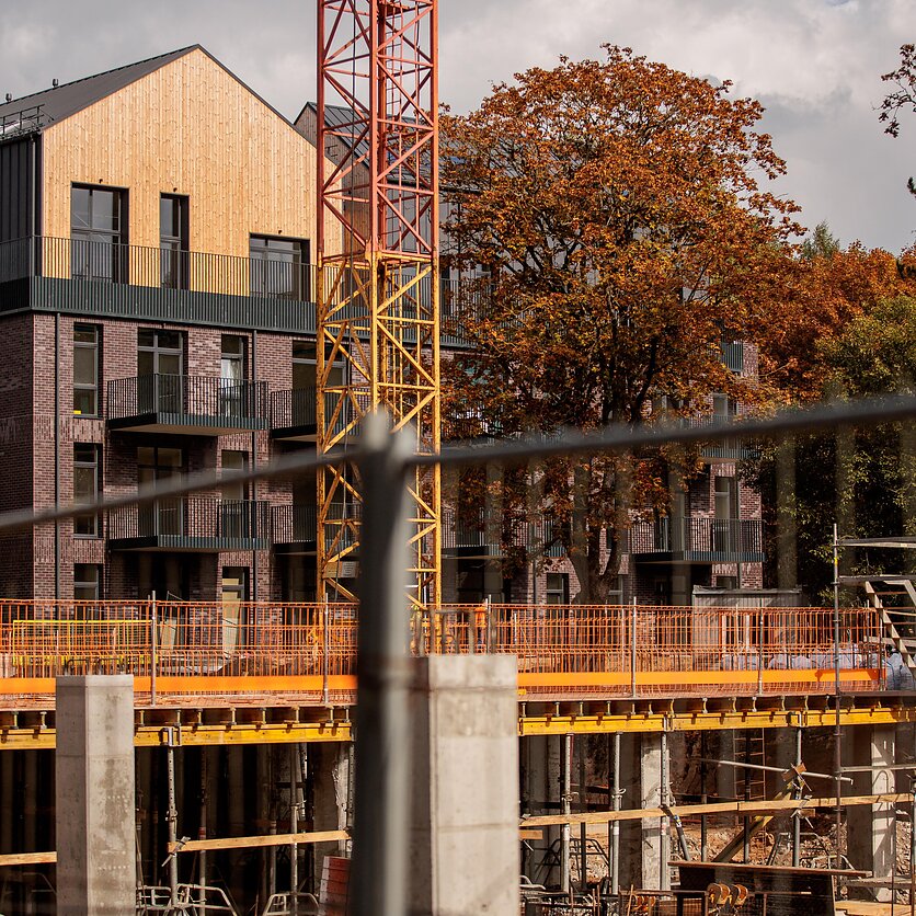 D. Umbraso  / LRT nuotr., Statybų projektas „Miško ardai“