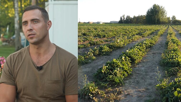 Manfredą iš užsienio į Joniškį sugrąžino meilė, bet įkurto braškių ūkio sėkmės teko palūkėti: galvojau, vėl teks emigruoti