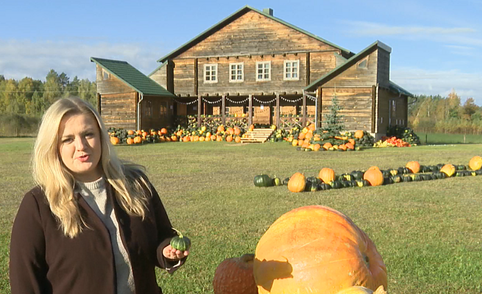 25-ias tonas moliūgų užauginę rokiškėnai jais išpuošė sodybą: atvykti kviečia visiškai nemokamai