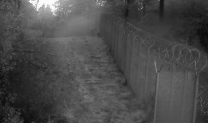 Ignalinos rajone sulaikę į Lietuvą besibrovusių 14 migrantų grupę pasieniečiai 5 iš jų skubiai kvietė medicinos pagalbą