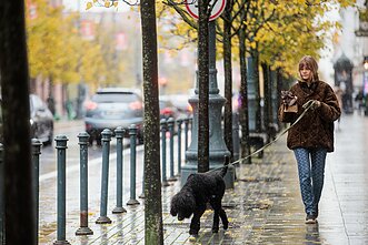 Šlapdriba, sniegas sostinėje; orai rudenį