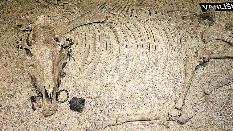A horse tomb