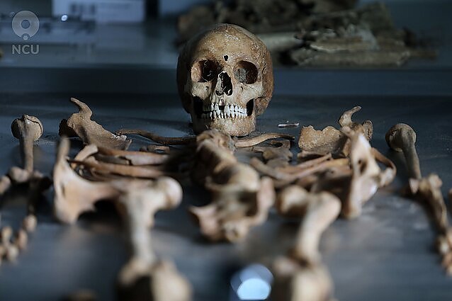 Surakintos galūnės, laidojimas veidu į žemę ir pjautuvas po kaklu: Lenkijoje aptikta „vampyrų“ kapavietė