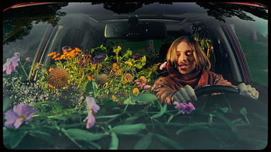 Kadras iš Gabrieliaus Vagelio klipo